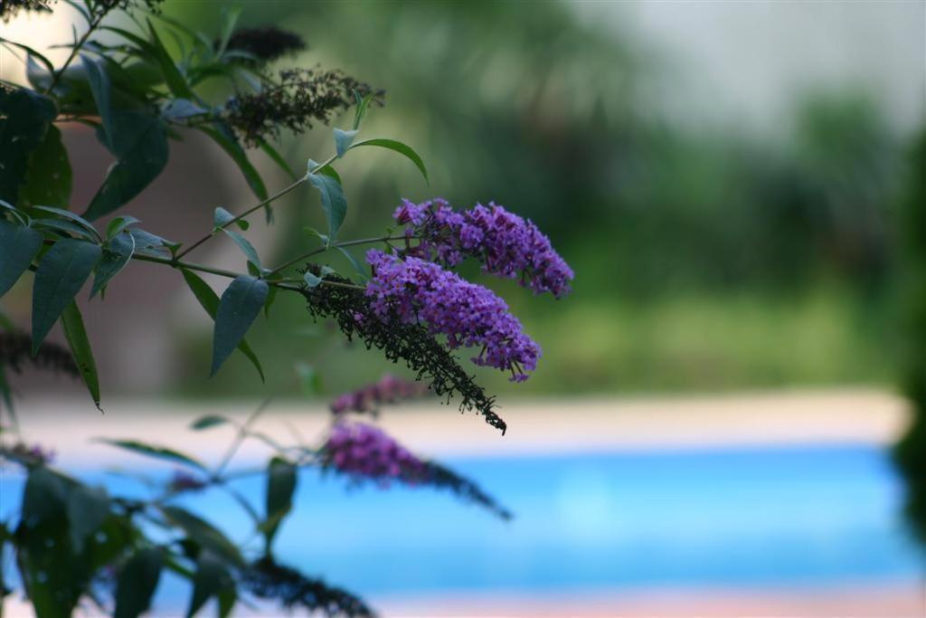 Bois Joli De La Freyere Bed & Breakfast Hindisheim Dış mekan fotoğraf