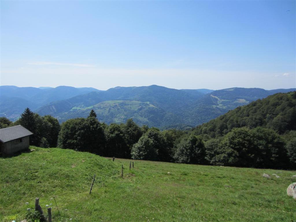 Bois Joli De La Freyere Bed & Breakfast Hindisheim Dış mekan fotoğraf