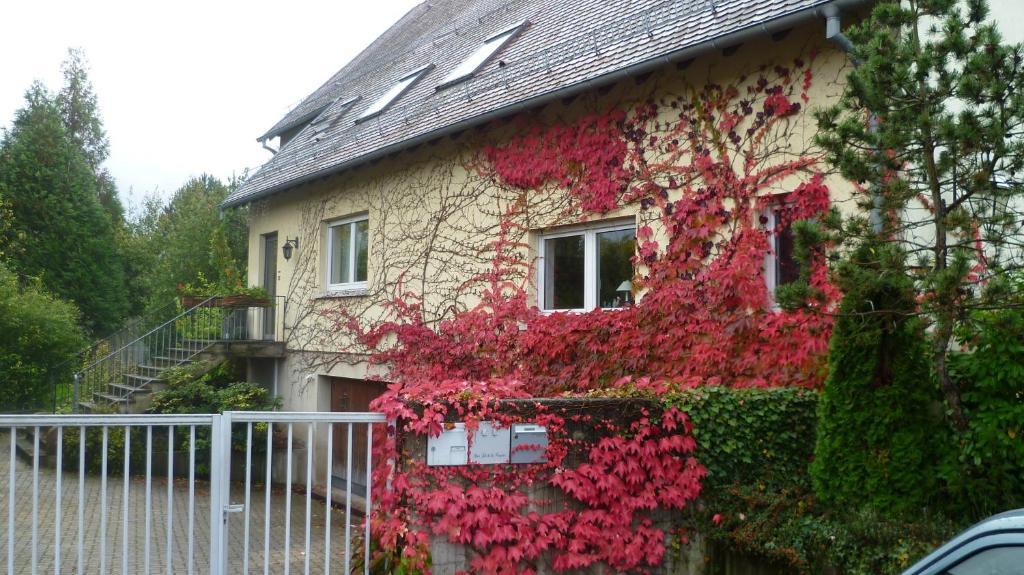 Bois Joli De La Freyere Bed & Breakfast Hindisheim Dış mekan fotoğraf